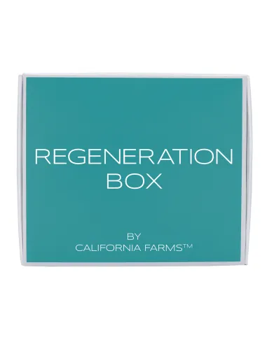 REGENERATION box: CBD chocolate + CBD jelly
