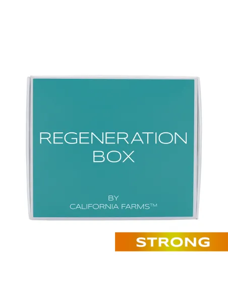 REGENERATION box STRONG: CBD Schokolade + CBD Gelee